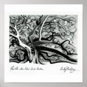 Angel Oak Poster (Voorkant)