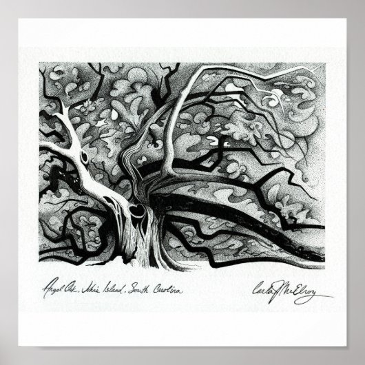 Angel Oak Poster (Voorkant)