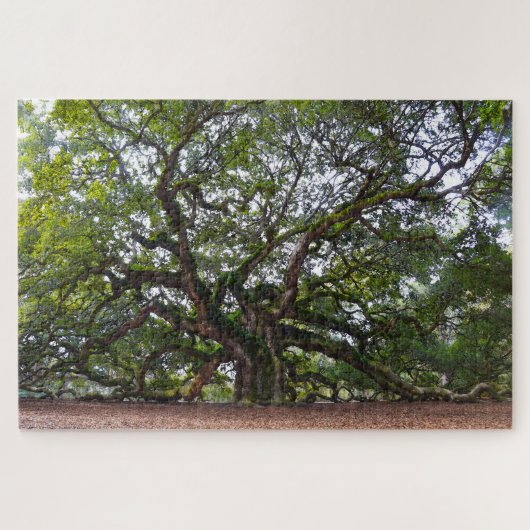 Angel Oak, South Carolina Legpuzzel (Horizontaal)