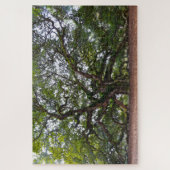 Angel Oak, South Carolina Legpuzzel (Verticaal)