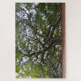 Angel Oak, South Carolina Legpuzzel