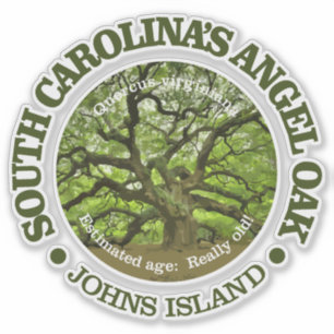 Angel Oak Sticker