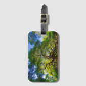 Angel Oak Tree Bagagelabel (Voorkant (verticaal))