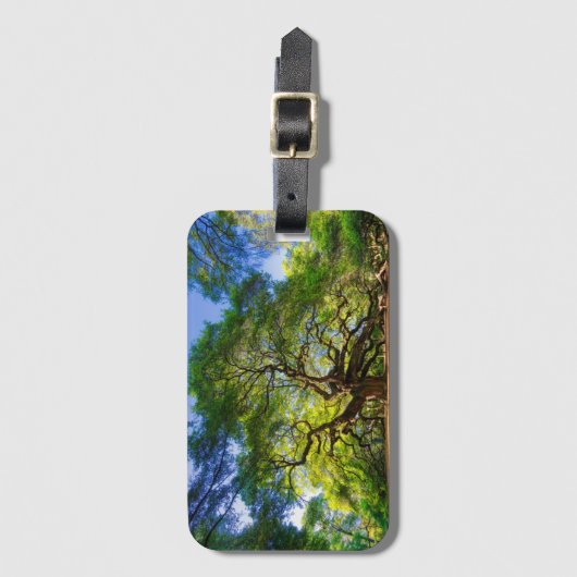 Angel Oak Tree Bagagelabel (Voorkant (verticaal))