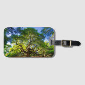 Angel Oak Tree Bagagelabel (Voorkant (horizontaal))