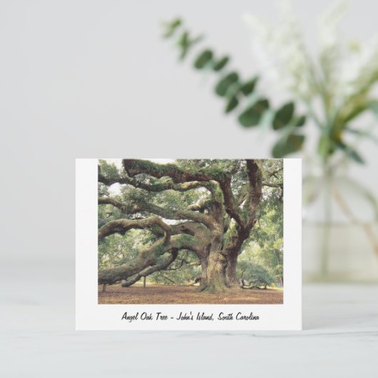 Angel Oak Tree bij Charleston, SC Briefkaart (Staand voorkant)