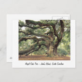 Angel Oak Tree bij Charleston, SC Briefkaart (Voorkant / Achterkant)