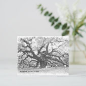 Angel Oak Tree Briefkaart (Staand voorkant)