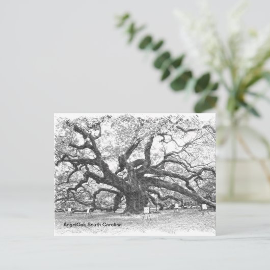 Angel Oak Tree Briefkaart (Staand voorkant)