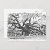 Angel Oak Tree Briefkaart (Voorkant / Achterkant)