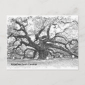 Angel Oak Tree Briefkaart (Voorkant)