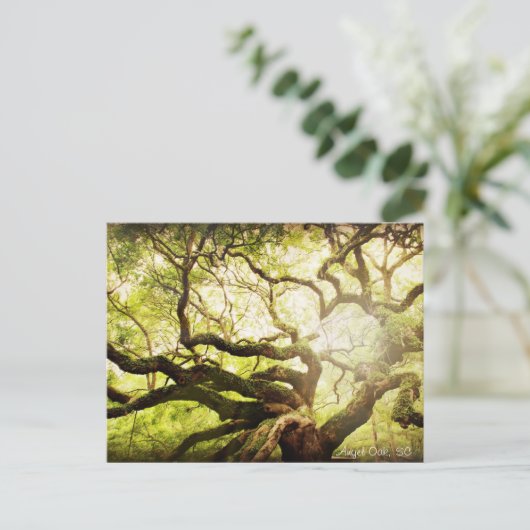 Angel Oak Tree Briefkaart (Staand voorkant)