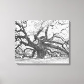 Angel Oak Tree Canvas Afdruk (Voorkant)