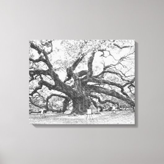 Angel Oak Tree Canvas Afdruk (Voorkant)