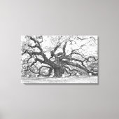 Angel Oak Tree Canvas Afdruk (Voorkant)