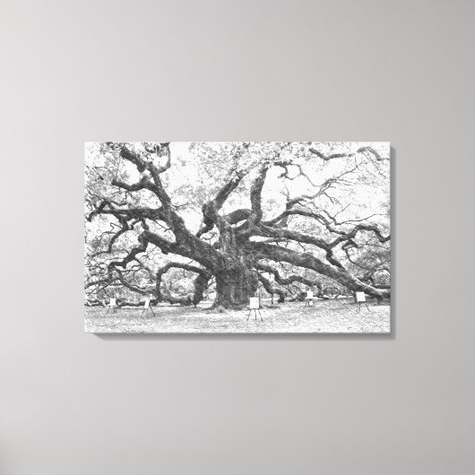 Angel Oak Tree Canvas Afdruk (Voorkant)