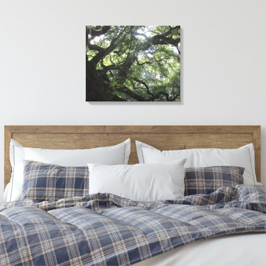 Angel Oak Tree Canvas Print (Insitu (Slaapkamer))