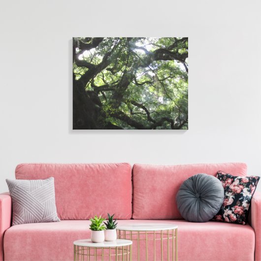 Angel Oak Tree Canvas Print (Insitu (Woonkamer))