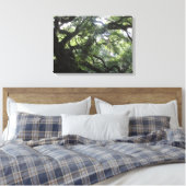 Angel Oak Tree Canvas Print (Insitu (Slaapkamer))