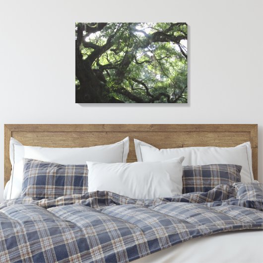 Angel Oak Tree Canvas Print (Insitu (Slaapkamer))