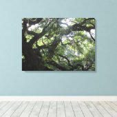 Angel Oak Tree Canvas Print (Insitu (Houten vloer))