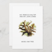 Angel Oak Tree - Charleston Feestdagenkaart (Voorkant / Achterkant)