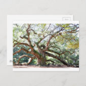 Angel Oak Tree Gifts Briefkaart (Voorkant / Achterkant)