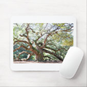 Angel Oak Tree Gifts Muismat (Met muis)