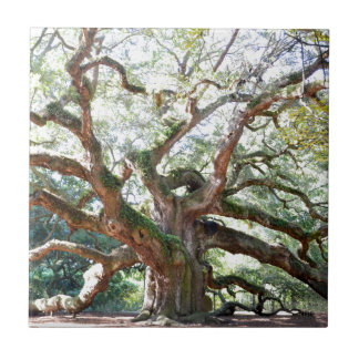 Angel Oak Tree Gifts Tegeltje