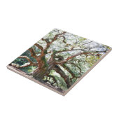 Angel Oak Tree Gifts Tegeltje (Zijkant)
