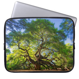 Angel Oak Tree Laptop Sleeve