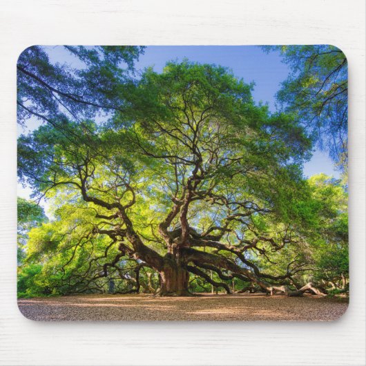 Angel Oak Tree Muismat (Voorkant)