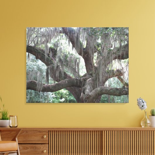 Angel Oak van Johns Island Canvas Afdruk (Insitu (Woonkamer))