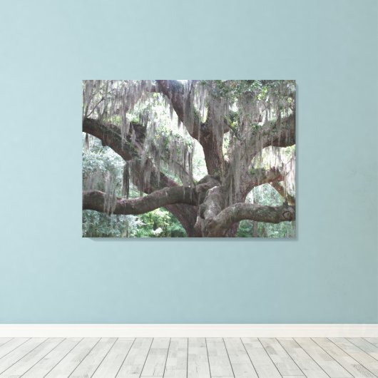 Angel Oak van Johns Island Canvas Afdruk (Insitu (Houten vloer))