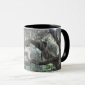 Angel Oak van Johns Island Mok (Voorkant rechts)