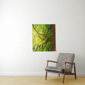 Angel Oak Wandkleed (In situ)