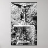 Angel of Central Park NYC Poster (Voorkant)