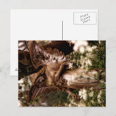 Angel of Highgate Briefkaart (Voorkant / Achterkant)