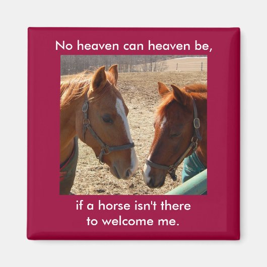 Angel Paarden - magneet (Voorkant)