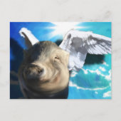 Angel Pig Briefkaart (Voorkant)