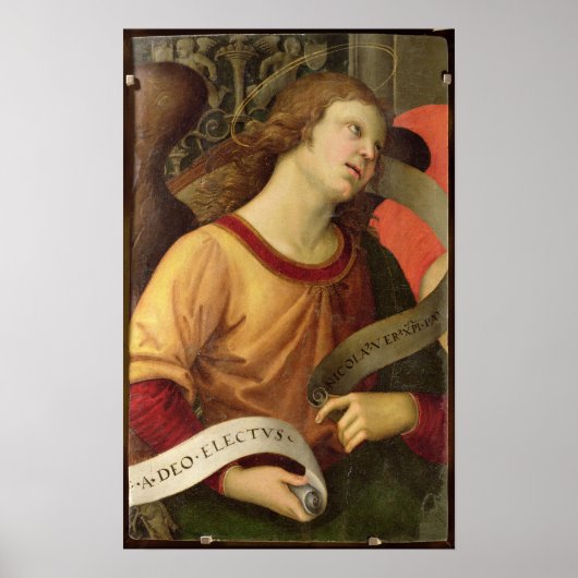 Angel Poster (Voorkant)