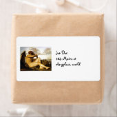 Angel Power Etiket (Insitu)