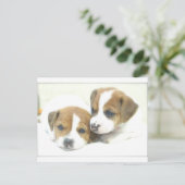 Angel Puppies Briefkaart (Staand voorkant)