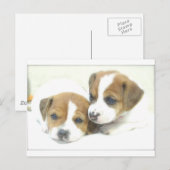 Angel Puppies Briefkaart (Voorkant / Achterkant)