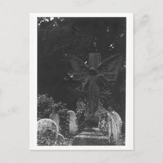 Angel Statue Old Cemetery Briefkaart