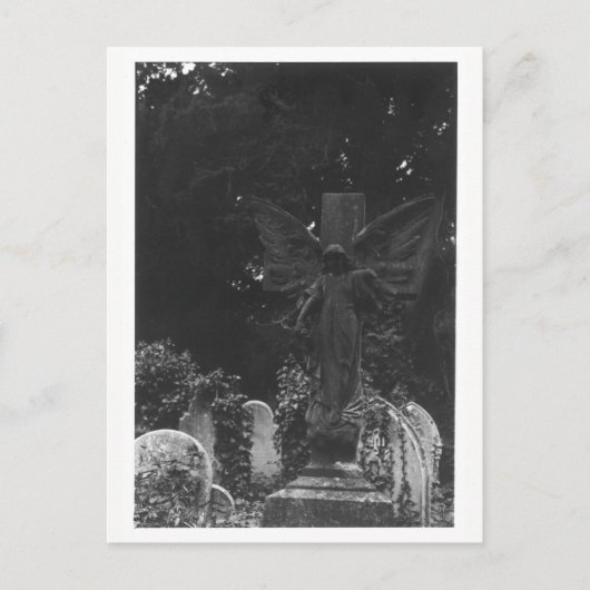 Angel Statue Old Cemetery Briefkaart (Voorkant)