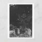 Angel Statue Old Cemetery Briefkaart Text (Voorkant)