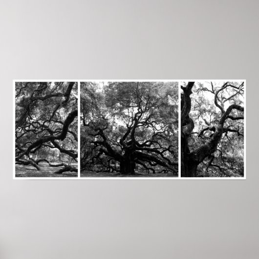 Angel Tree Collage Poster (Voorkant)