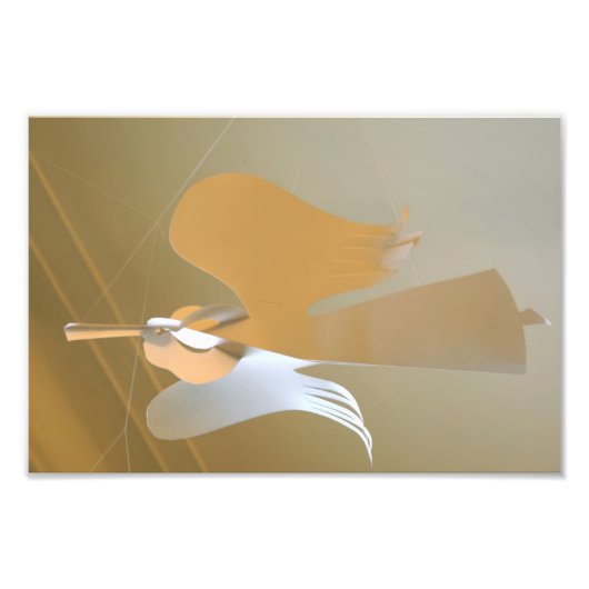 Angel-trompetten Foto Afdruk (Voorkant)