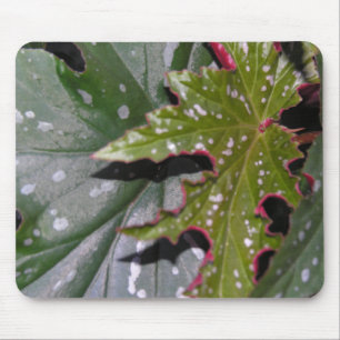 Angel Wing Begonias Mousepad Muismat